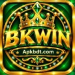 BKWin APP
